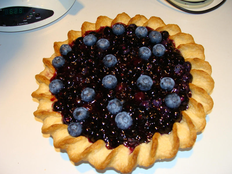 Lobster, Donuts, and Blueberries in Maine