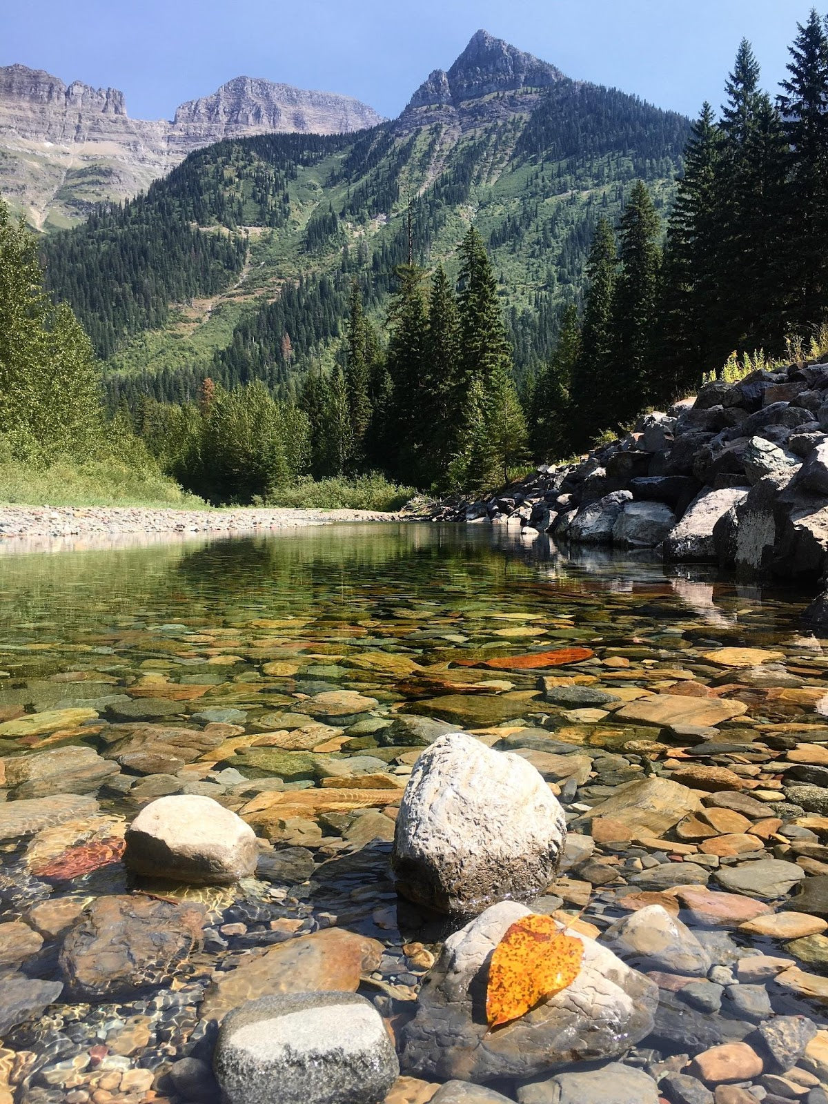 Let’s Get a Move on to Majestic Montana!