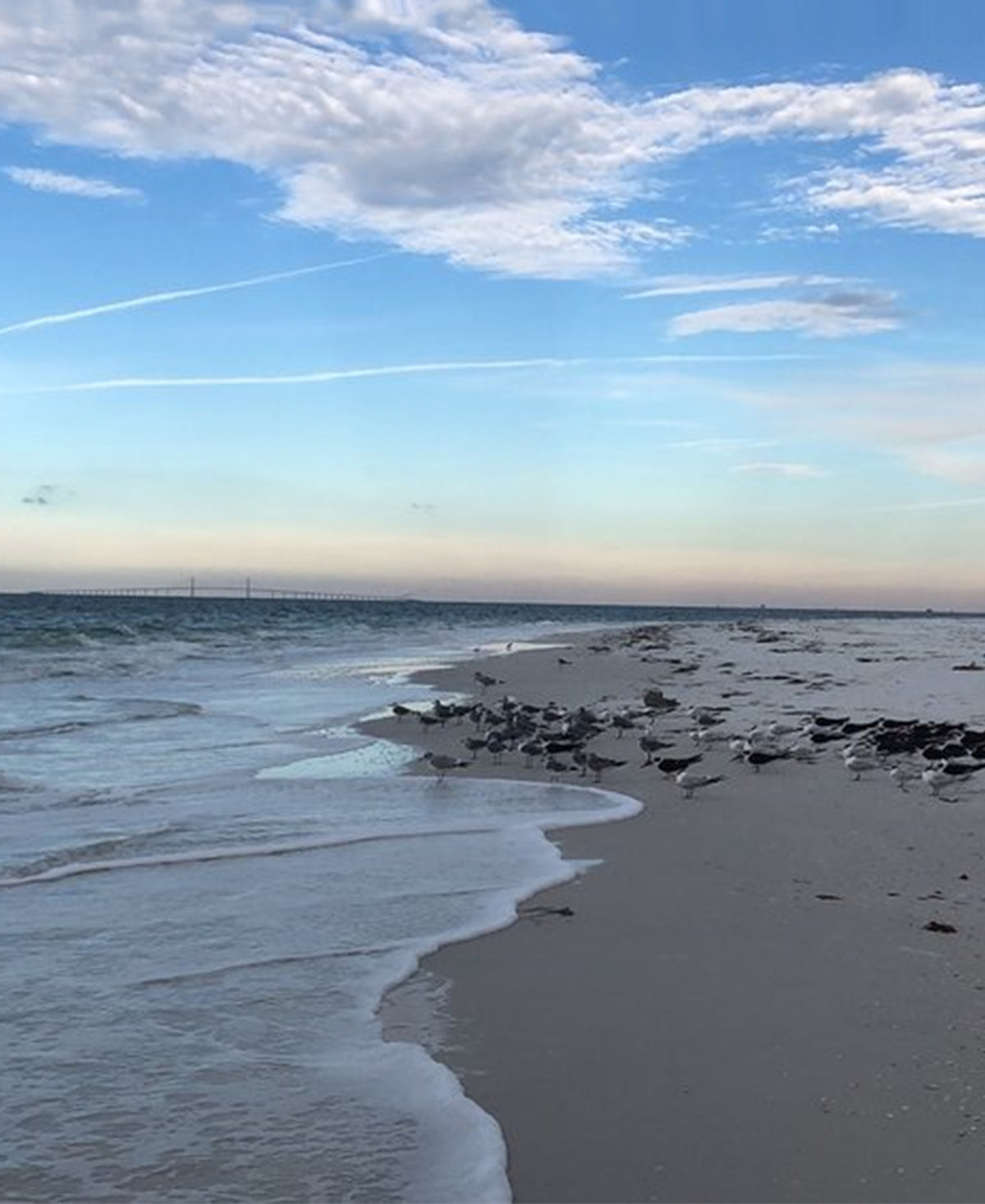 Explore Florida's Beautiful Anna Maria Island