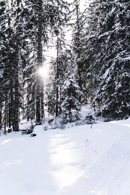 Walkin’ and Playin’ in a Winter Wonderland!