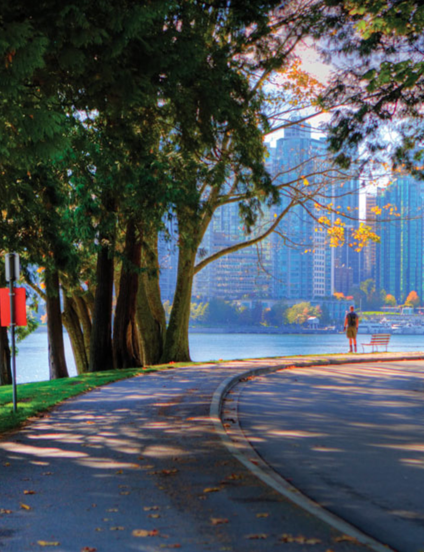 Guide to the Best City Parks In the World