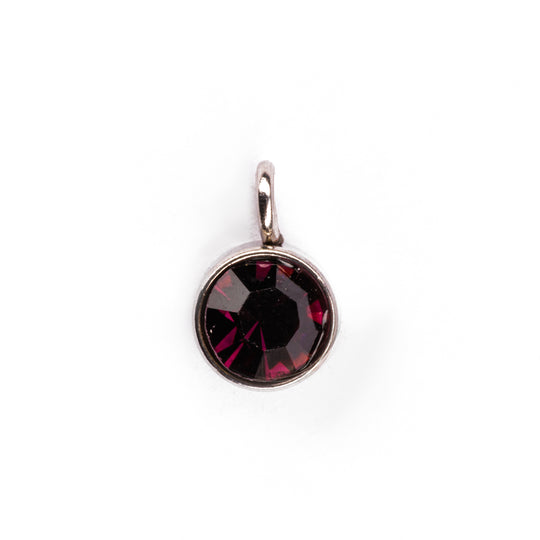 February Birthstone Charm