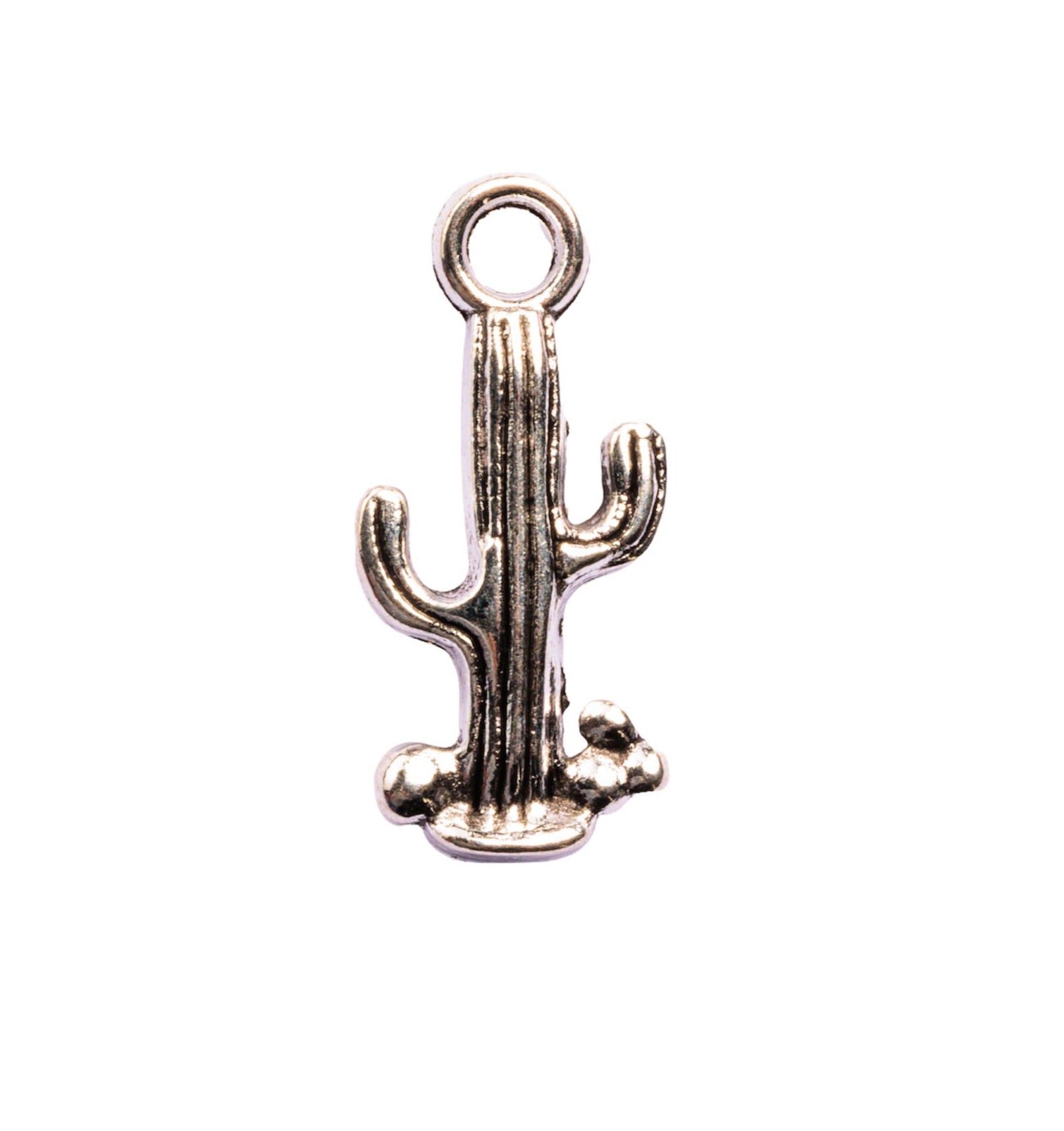 Cactus Charm